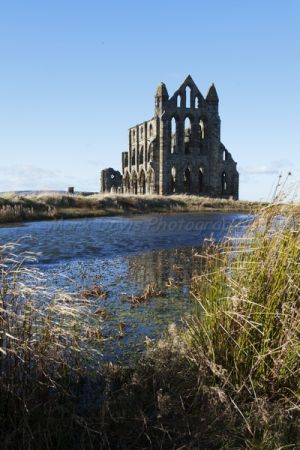 goth 12 whitby abbey 3.jpg